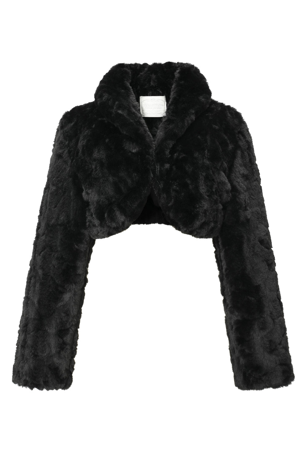 Puppy bolero - threetimes