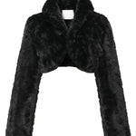 Puppy bolero - threetimes