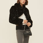 Puppy bolero - threetimes