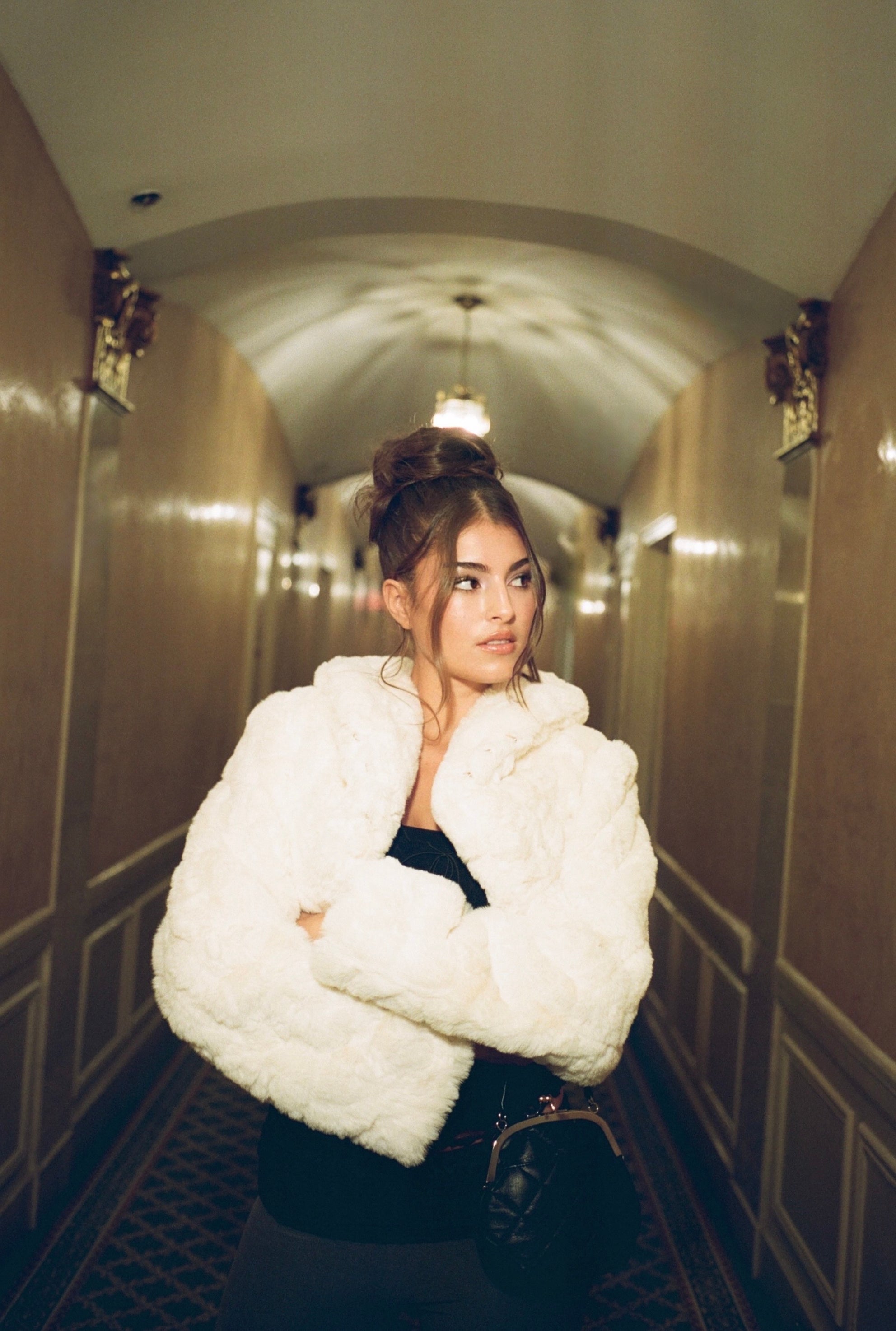 Puppy bolero - threetimes