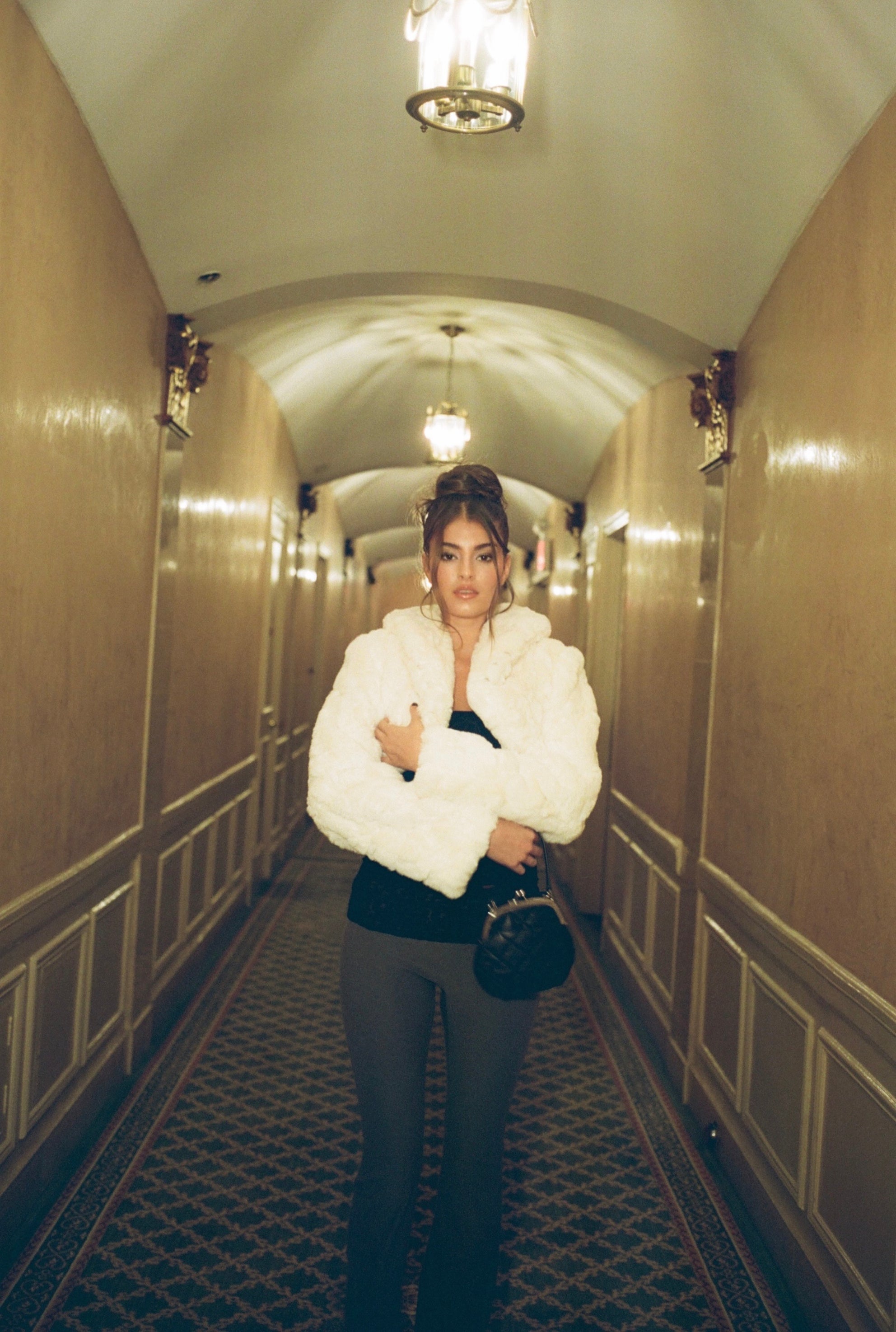 Puppy bolero - threetimes